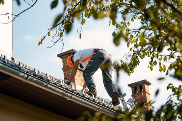 Best Flat Roof Repair Services  in Mi Wuk Village, CA
